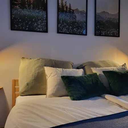 Ferienhaeuser & Hartenstein Apartment *